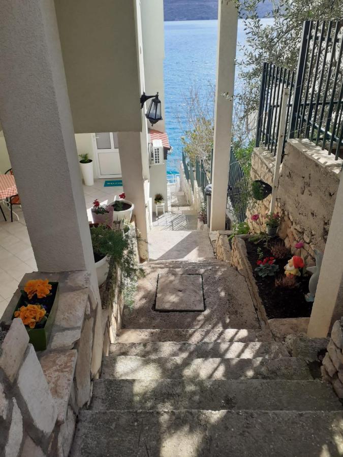 נאום Apartmani Lezenic Dada מראה חיצוני תמונה